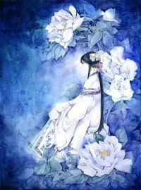 海贼直播:开局顶上战争